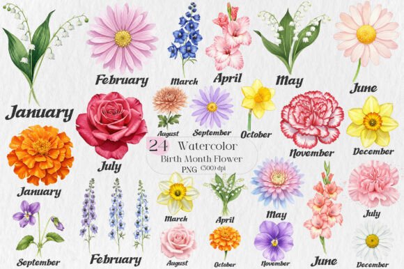 Birth Month Flower Watercolor Clipart for Creative Design
